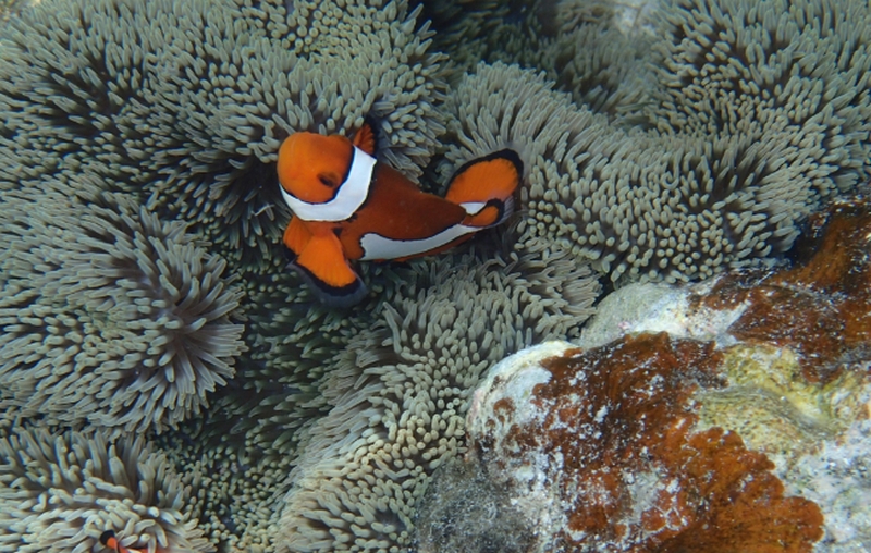 シミ・シワ・毛穴・肌荒れ|美容のプロがオススメするbbクリーム【ディレイア】
情報サイト